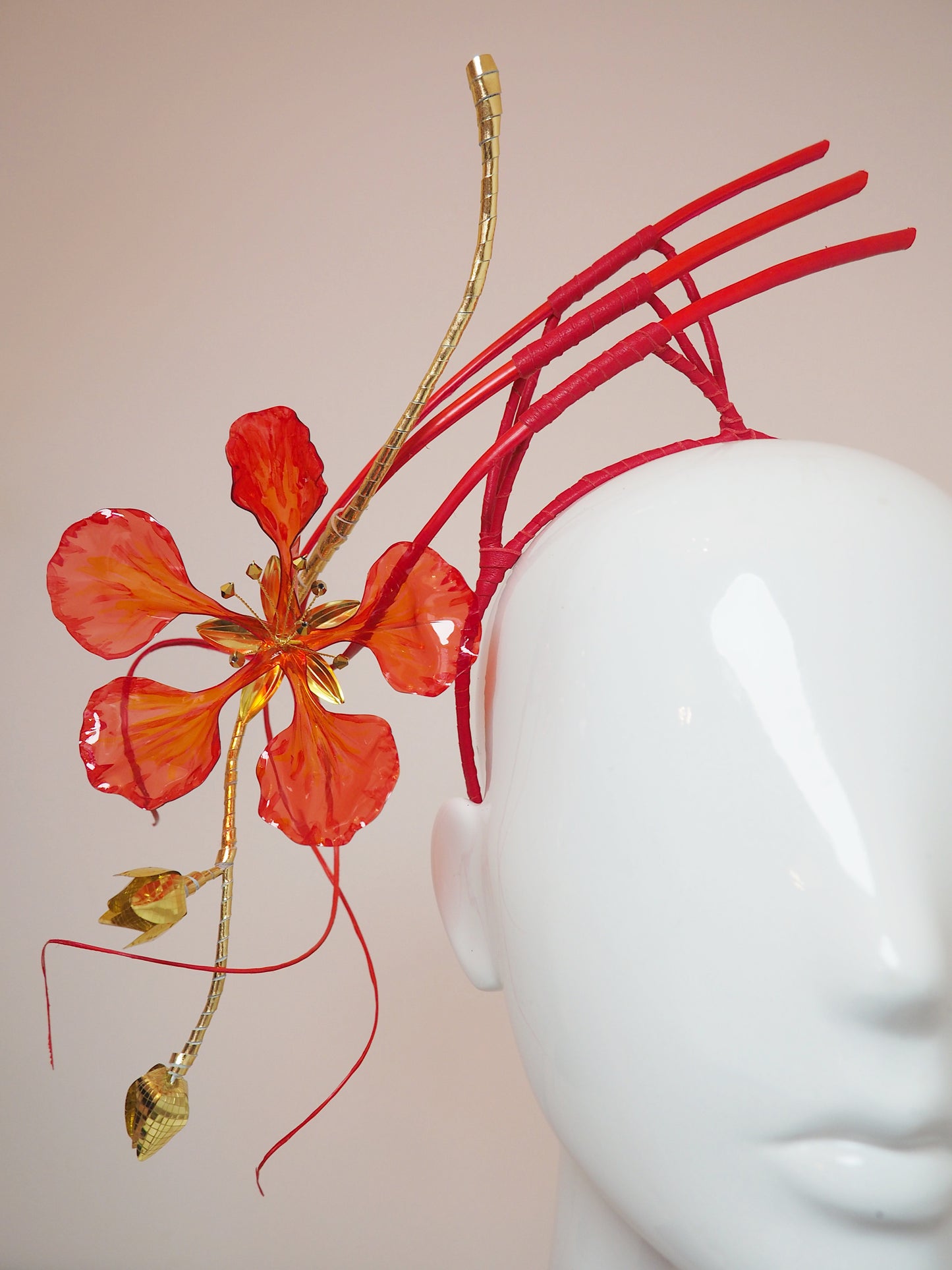 Paint the Town Red - Painted crystoform Flame Tree Bloom with golden buds and a flourish of quills