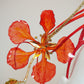 Paint the Town Red - Painted crystoform Flame Tree Bloom with golden buds and a flourish of quills