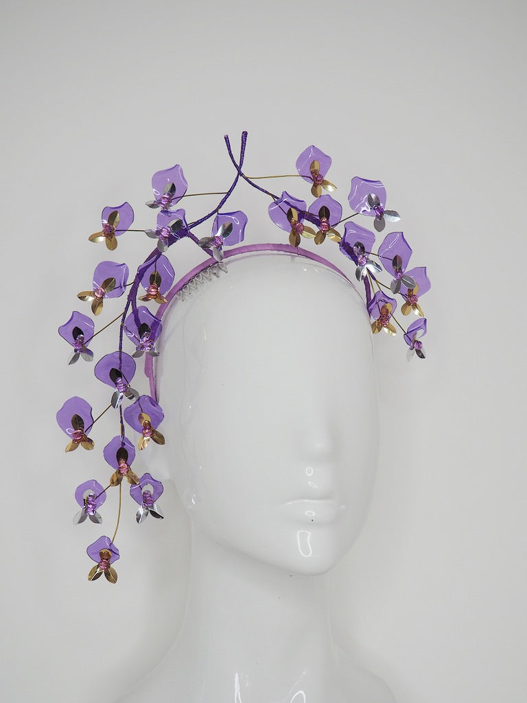 Wisteria Wonder