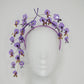 Wisteria Wonder