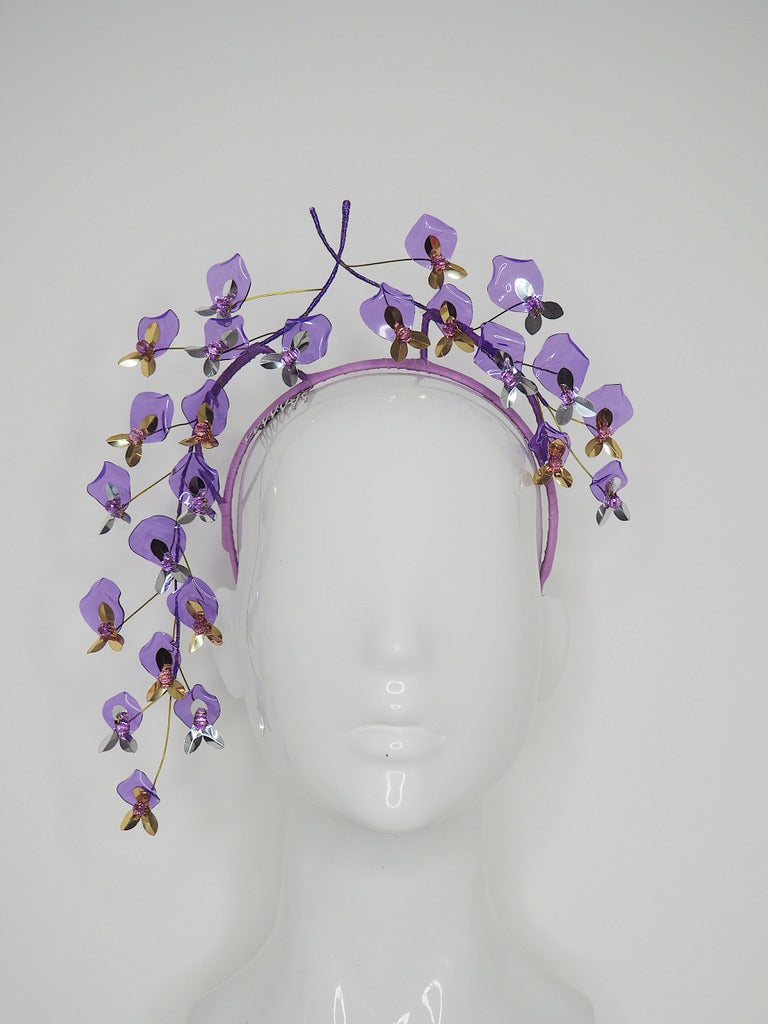 Wisteria Wonder