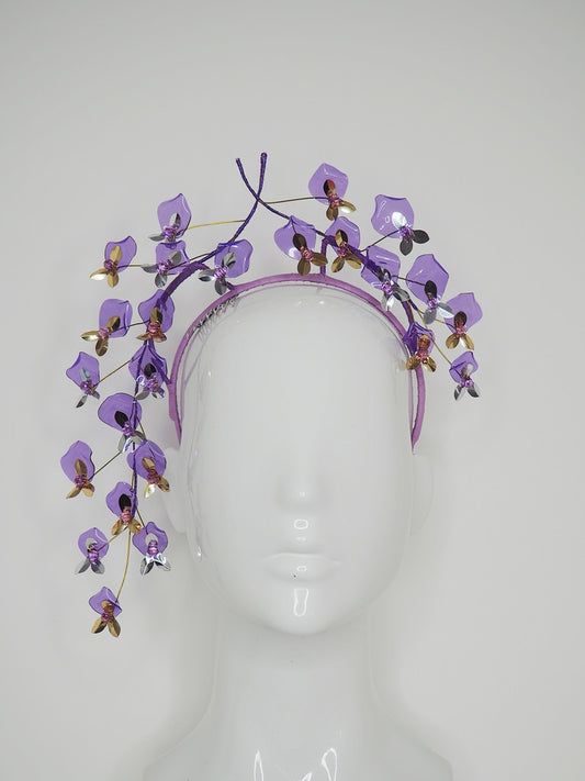 Wisteria Wonder