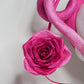 OMBRÉ ROSE -