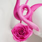 OMBRÉ ROSE -